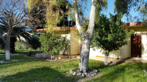 Гостиница Danaides Bungalows  Толон